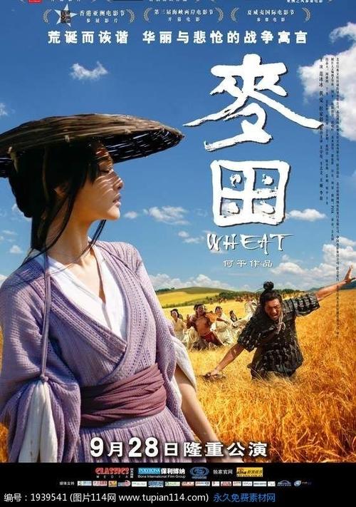 学位证编号